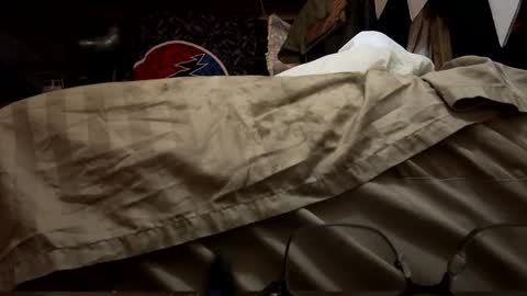 bushdoctor1 online show from January 19, 2:06 pm