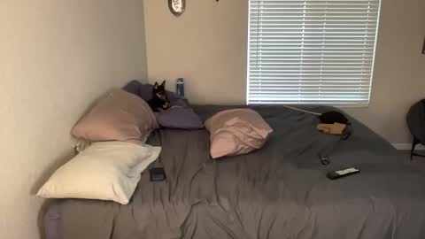 Pocket Daddy cockring gaycouple cockring lovense daddy online show from May 19, 1:56 am