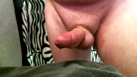 bustinfree online show from February 12, 3:16 pm