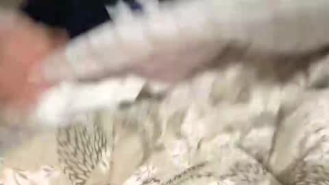 Marco online show from December 9, 8:54 pm