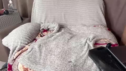 Caliiie of online show from February 27, 10:55 am