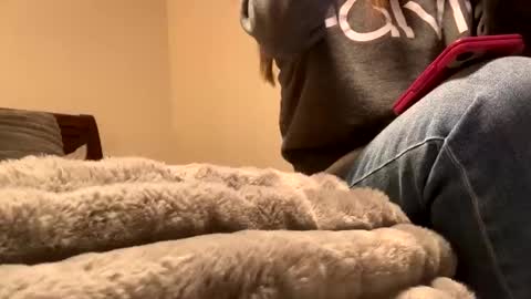 Snapshot of calishop1 chatting on December 11, 1:58 am calishop1 online show from December 11, 1:58 am