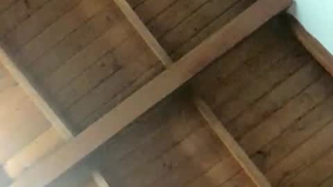 camisexy1 online show from May 5, 3:24 am