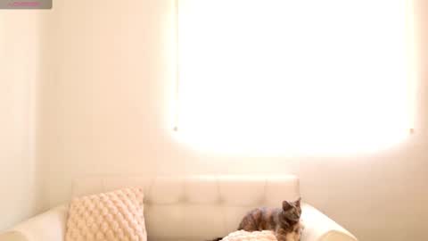 Candy online show from November 19, 4:17 pm