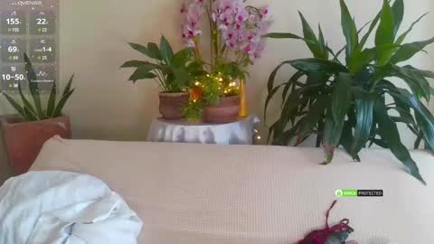 Candy - online show from January 27, 12:16 pm