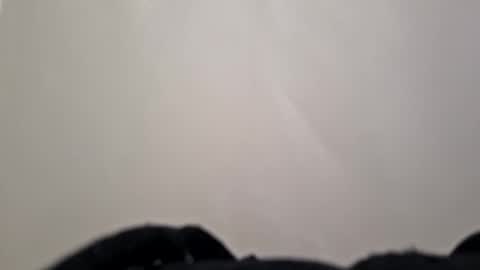 cappinrc8 online show from February 5, 8:29 am