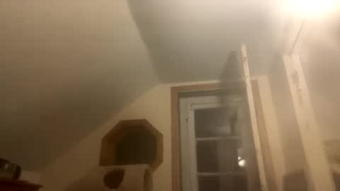 carlacee online show from November 8, 3:09 am