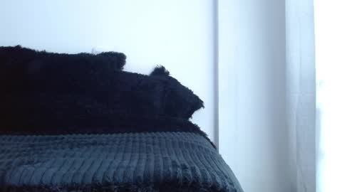 caroline online show from April 1, 1:41 pm