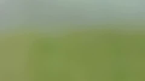 Caro online show from September 24, 1:56 am