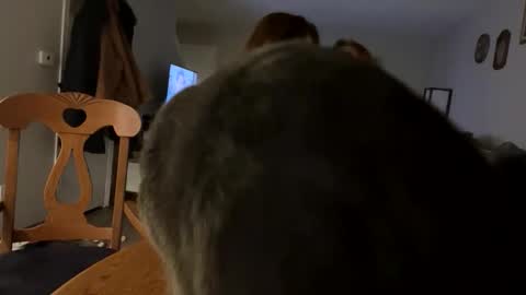 carpetmunchers online show from April 2, 12:51 am