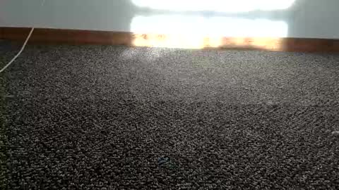 cash13bychanel online show from November 19, 10:30 pm