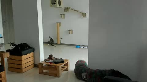 Cassandra online show from March 22, 11:58 am