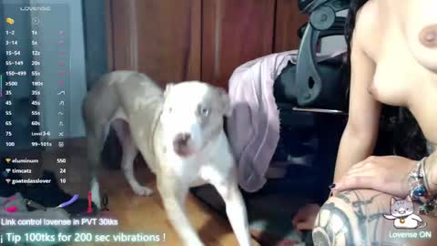 Maria kittie  PVT model online show from January 12, 11:01 pm