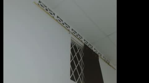 catalina ada online show from February 25, 3:43 am