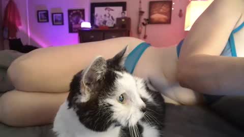 some call me djcatnips some call me CC but i love it when you call me miss catnips  online show from April 3, 1:07 pm