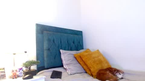 Cedrixx10 online show from February 25, 10:13 pm