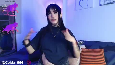 Zelda online show from March 1, 2:38 am