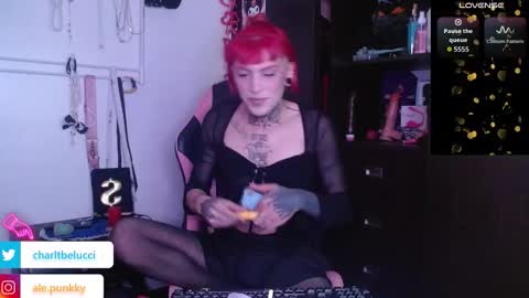 Ale punky online show from February 14, 6:43 pm