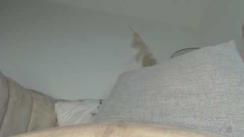 Snapshot of charlottehorny1 chatting on September 13, 3:09 am charlottehorny1 online show from September 13, 3:09 am