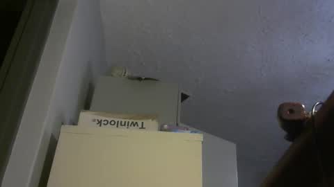 chaturbatordeluxe online show from February 7, 4:04 am