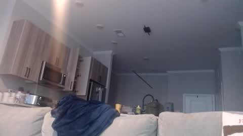 Chef Dev XXX online show from November 19, 3:44 pm