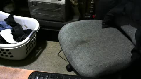 chefy online show from February 12, 11:40 am