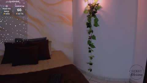 cherryblossomm1 online show from December 2, 1:04 am