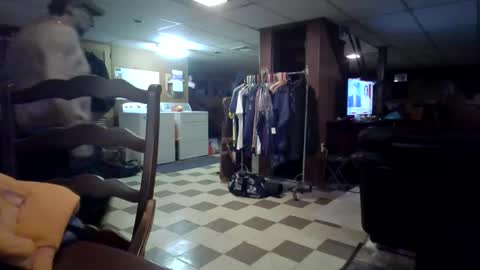 chippy70 online show from April 23, 3:35 pm