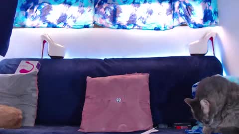 cicimom online show from February 5, 5:20 pm