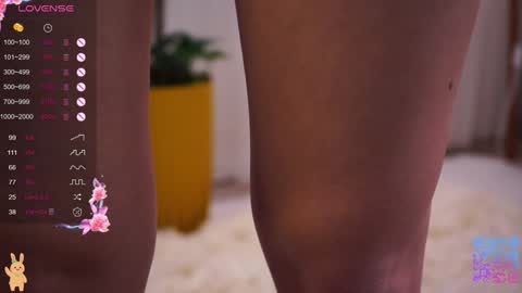   L  online show from February 3, 6:40 am