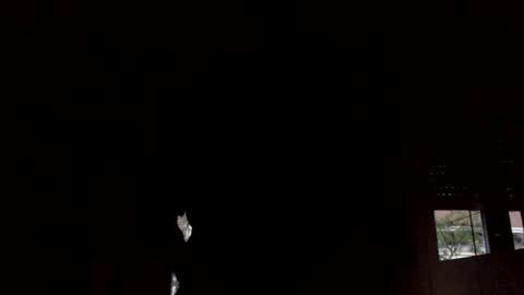 claudi779 online show from January 5, 3:45 pm