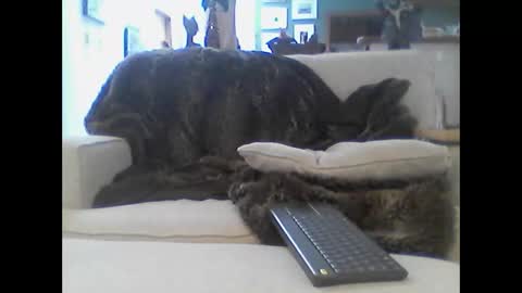 clitboy658752 online show from January 14, 9:45 pm