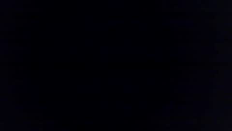 BurnieBear online show from February 19, 12:54 am