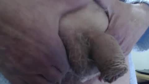 comemivuoi2 online show from February 16, 8:45 am