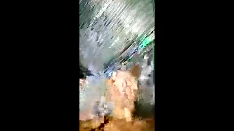 Miguel online show from December 15, 6:42 am