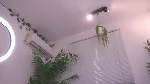 ROSELL 3   online show from October 3, 11:24 pm