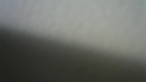 cordelli online show from December 7, 6:10 pm