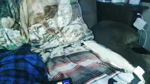 Snapshot of countryguy751601 chatting on September 16, 11:12 am countryguy751601 online show from September 16, 11:12 am