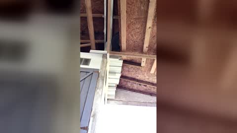 countryjoe2002 online show from March 25, 9:10 pm