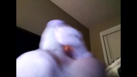 Cranada777 online show from February 24, 1:21 pm