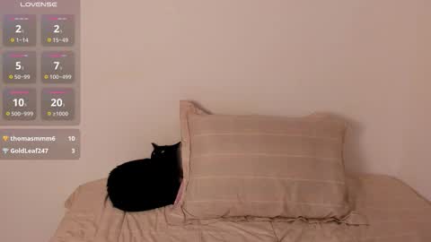 Jen. online show from November 12, 9:50 pm