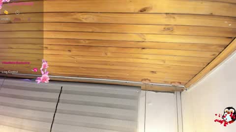 Cristal online show from March 23, 4:06 am