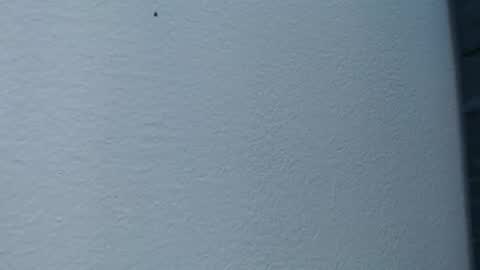 Hanna  online show from February 15, 6:02 am