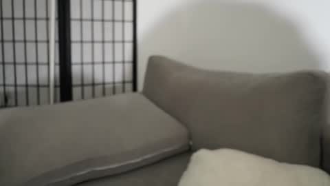 Laura online show from January 19, 2:43 am