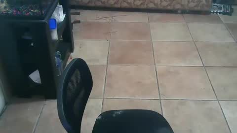 Snapshot of crossdressernola504 chatting on September 19, 11:51 pm crossdressernola504 online show from September 19, 11:51 pm