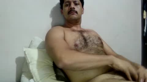Batorbear online show from June 12, 9:30 am