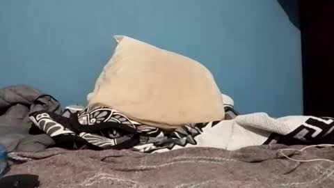 cumbian_chero online show from February 22, 1:22 am