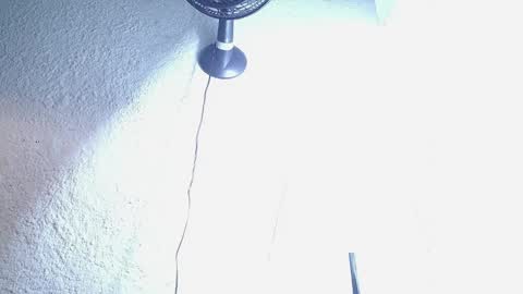 DANI online show from April 10, 6:30 am