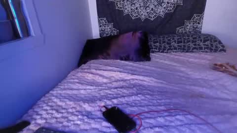 Cline  online show from March 2, 7:21 am