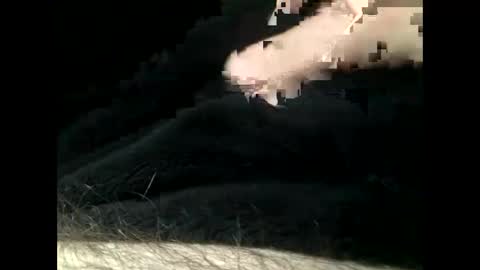 Steve online show from February 11, 5:50 pm